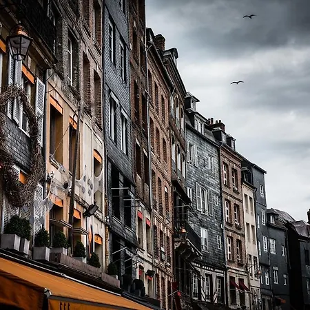 Les Maisons De Maje - Le Lingot Honfleur